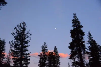 DSC_0094 (Large).JPG